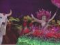 Lễ hội Boi-Bumba đầy màu sắc của Brazil