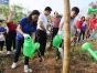 Trồng 1000 cây hoa ban tri ân mảnh đất Điện Biên